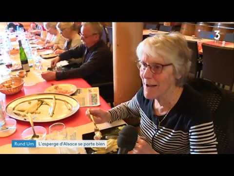Le business gagnant de l'asperge en Alsace
