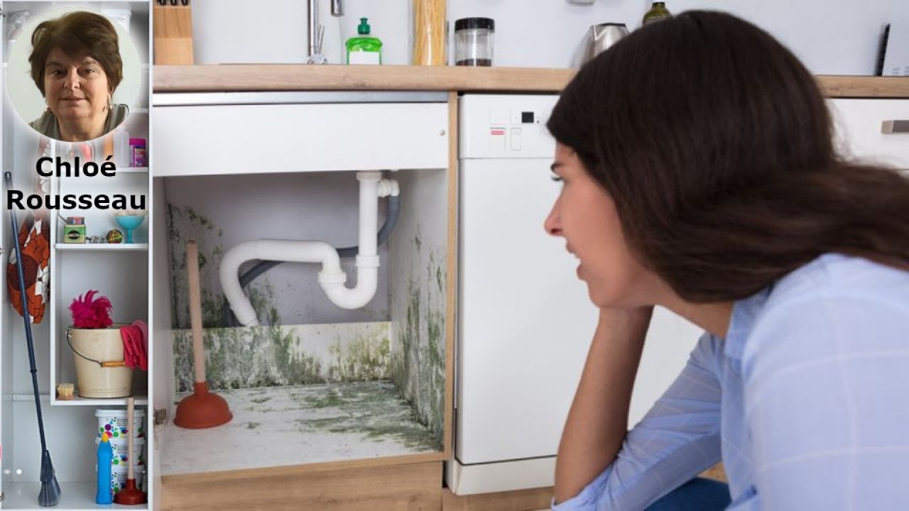 Éliminez l'humidité et les moisissures de vos meubles de cuisine et salle de bains facilement !