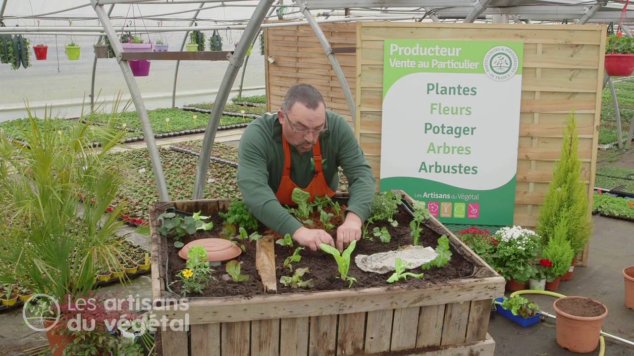 🐌 Se débarrasser naturellement des escargots et des limaces au jardin 🌿