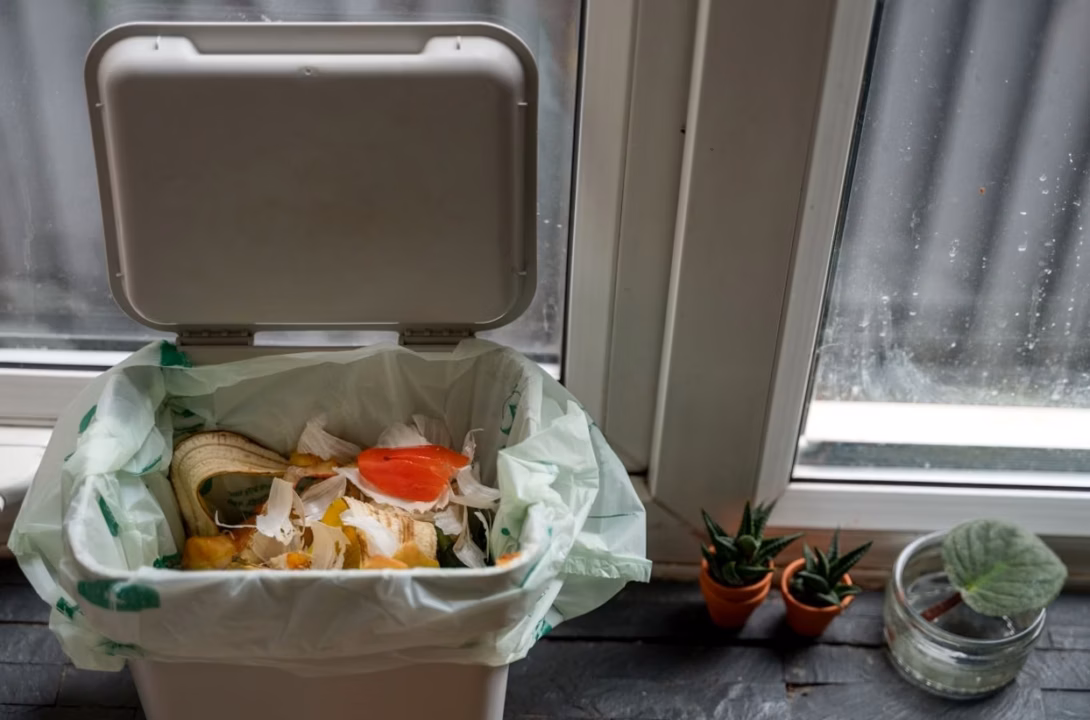 guide complet : comment bien composter à la maison