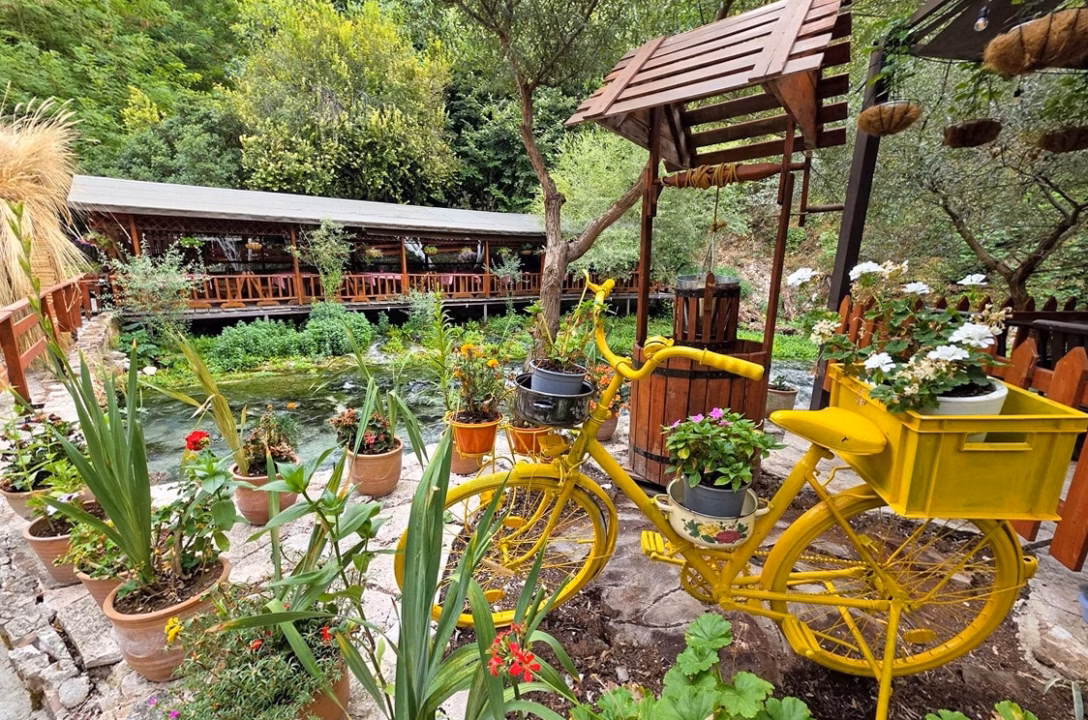 dosage compost : combien utiliser au jardin par m²